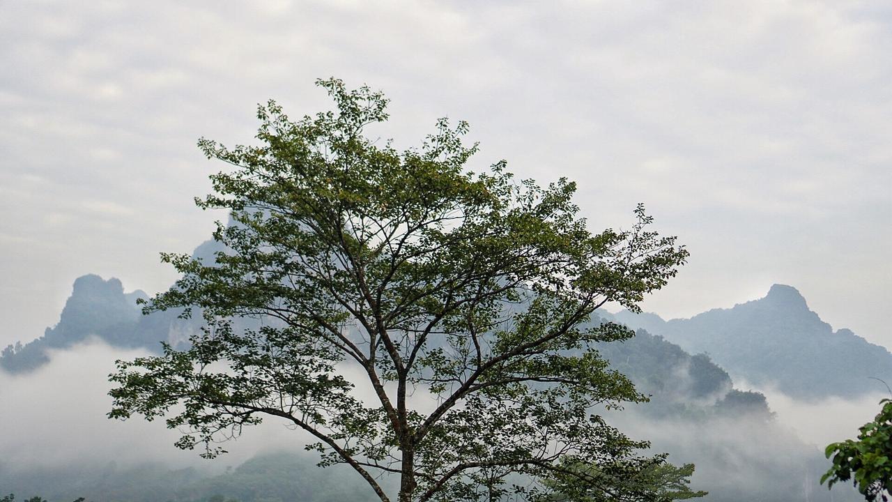 Khaowong Resort Phang Nga Eksteriør bilde