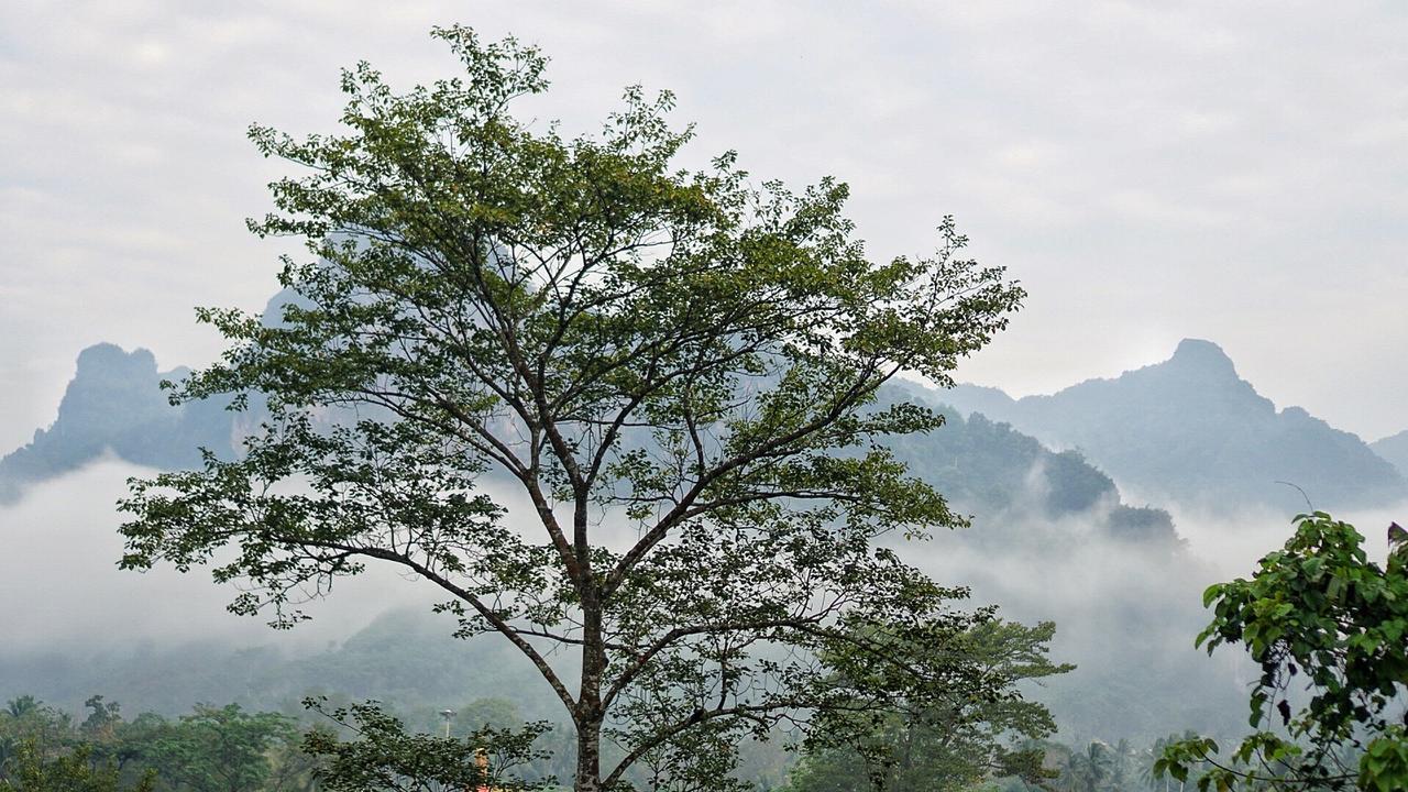 Khaowong Resort Phang Nga Eksteriør bilde